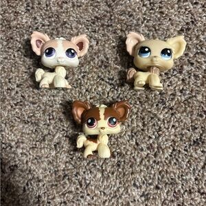 LPS #438, #1171, and #385